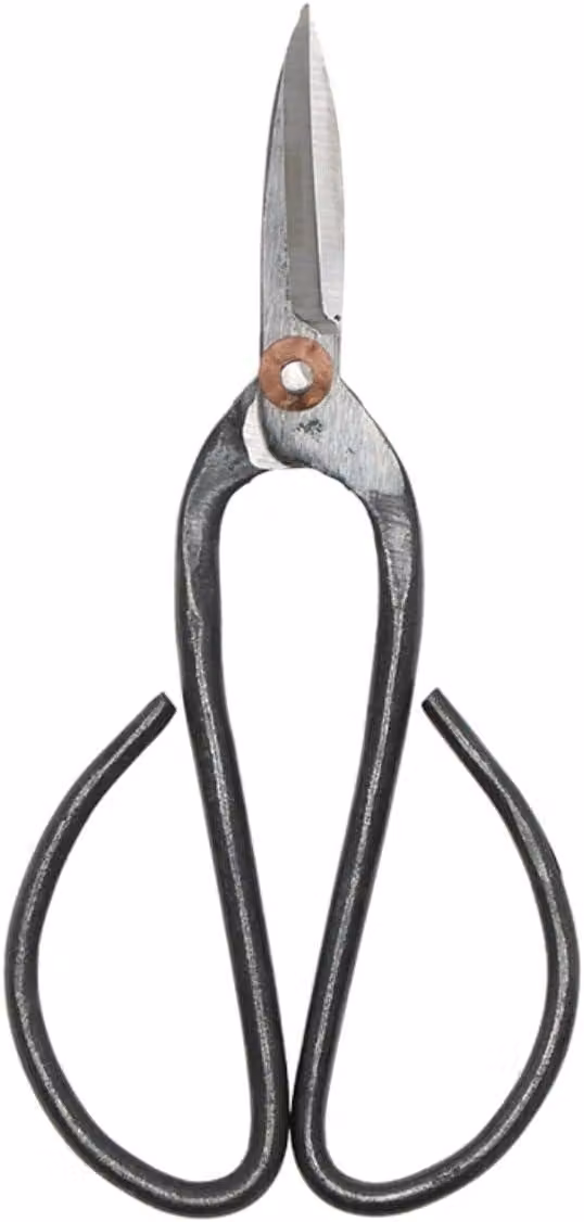 Forbici per bonsai, acciaio inossidabile, 19 cm, per un taglio preciso