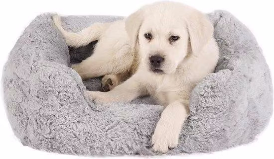 Garden-Lounge Lux Memory Foam - Lettino rettangolare per cani in schiuma memory, lavabile, grigio, piccolo (50,8 cm x 38,1 cm) - Comodo lettino per cani