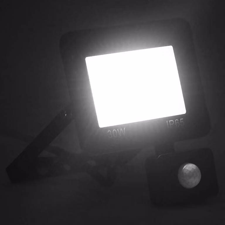 vidaXL Proiettore LED con sensore 30 W bianco freddo