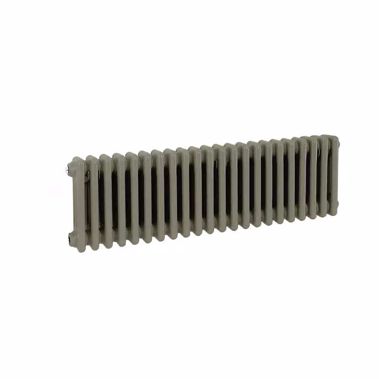 Radiatore Orizzontale a Colonne (2 Colonne) 300mm x 1010mm - Verde (Sage Leaf Verde) - Regent
