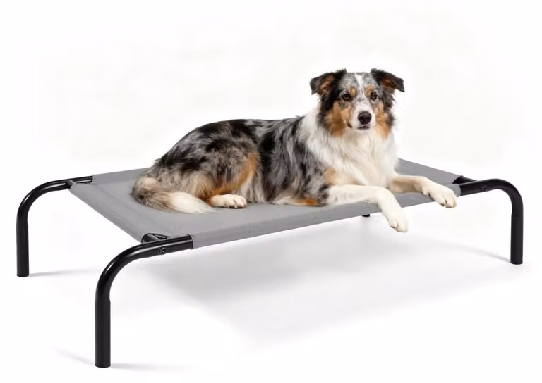 Letto rialzato per cani di taglia media, con struttura in acciaio, dimensioni 110 x 65 x 20 cm, realizzato in rete traspirante Teslin
