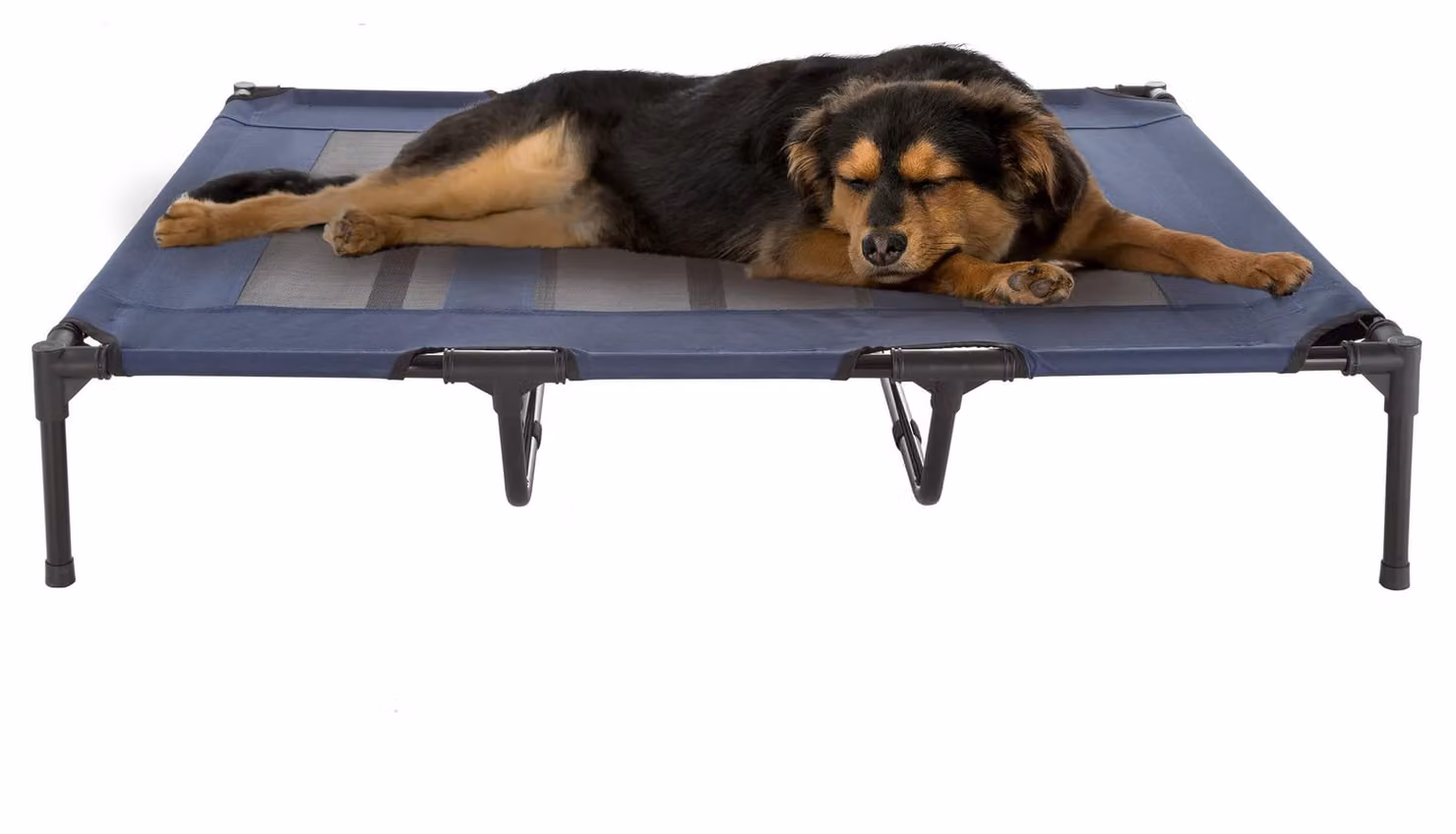 Cuccia rialzata per cani - 48 x 35,5 Inch - Blu - Leggera - Arredamento portatile per cani
