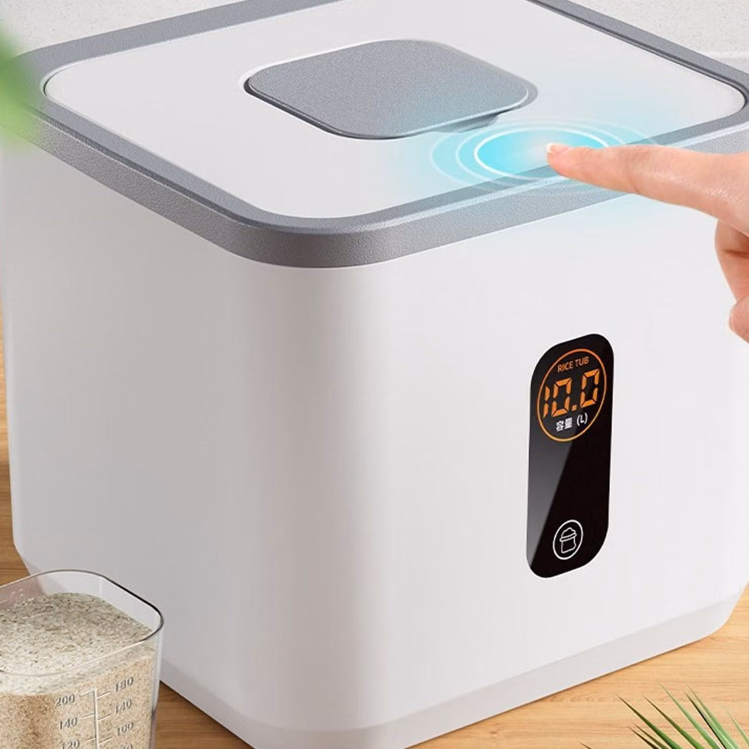 Grande contenitore ermetico per riso e cereali