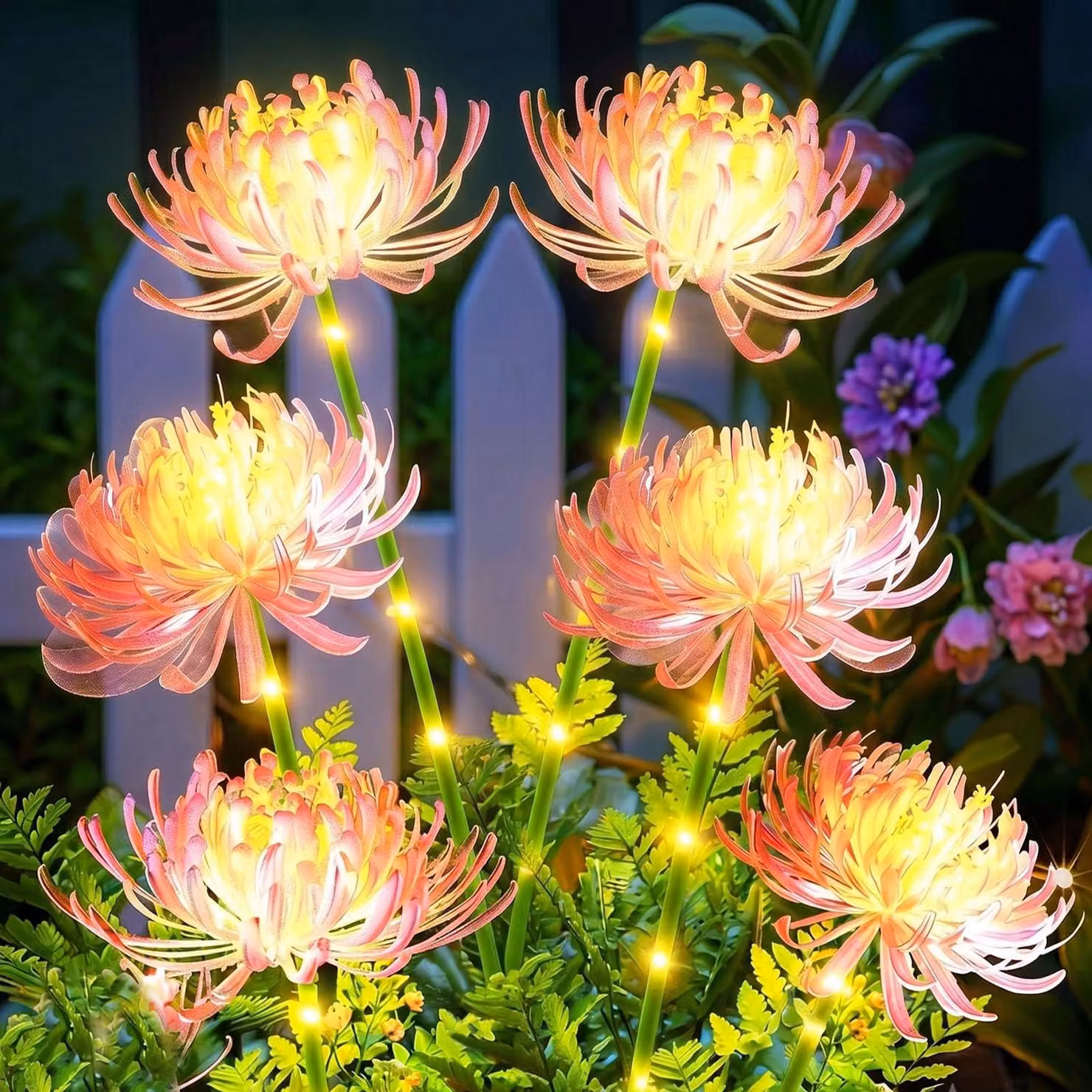 Set di 2 luci solari a forma di fiore, grado di protezione IP65, luce bianco caldo, 2 modalità, per uso esterno