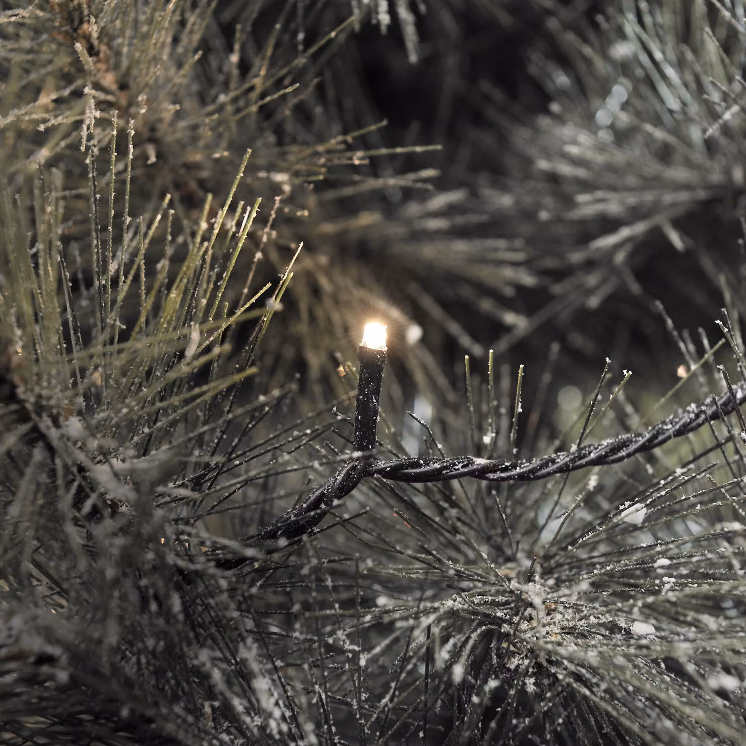 Konstsmide - Micro luci a LED, con effetto scintillante, 40 diodi bianchi caldi (5x scintillanti), trasformatore per esterni da 24 V, cavo nero ; 3610-140