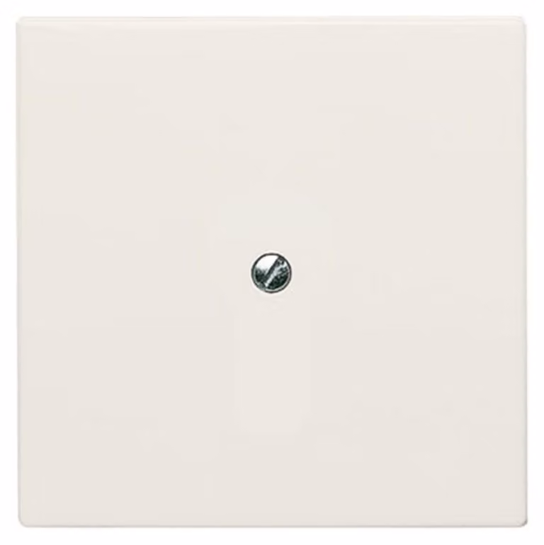 Disco centrale cieco Busch-Jaeger ws con anello di supporto 2138-32