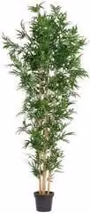 Pianta artificiale Bamboo Bizzotto verde Altezza: 240 cm