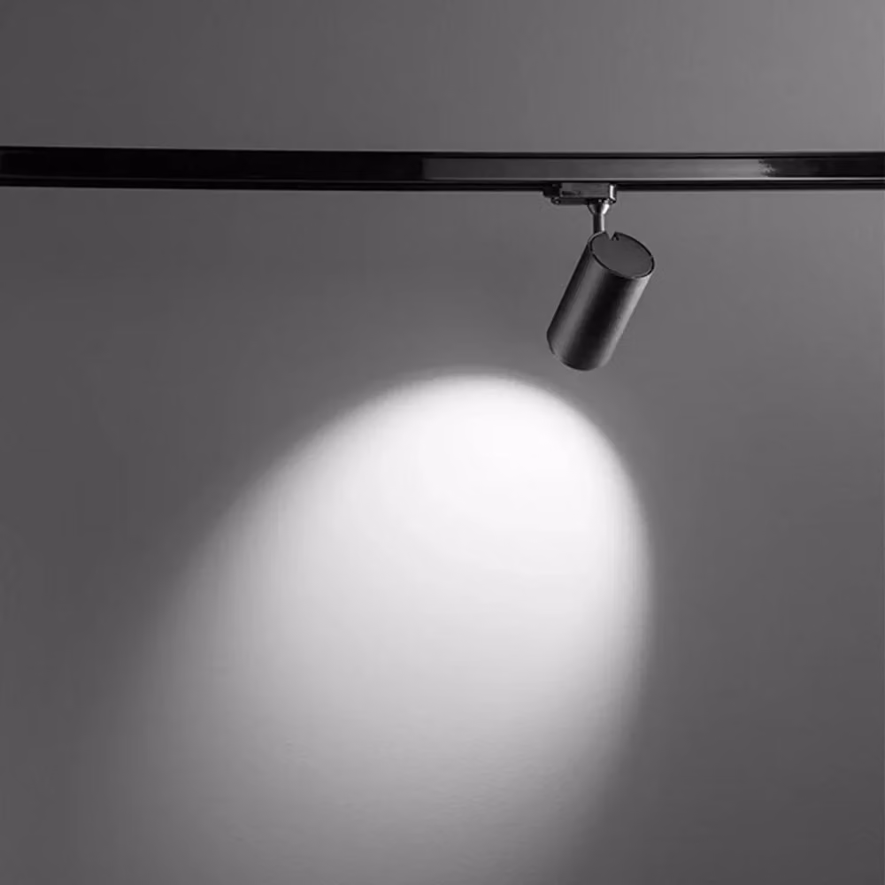 Faretto Cilindrico Per Binario PerenZ in Metallo Nero con LED da 30W Luce Bianca Fredda Regolabile – 2