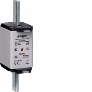 Cartuccia fusibile NH NH2C gG 500 V 224 A con segnalatore combinato e linguetta isolata