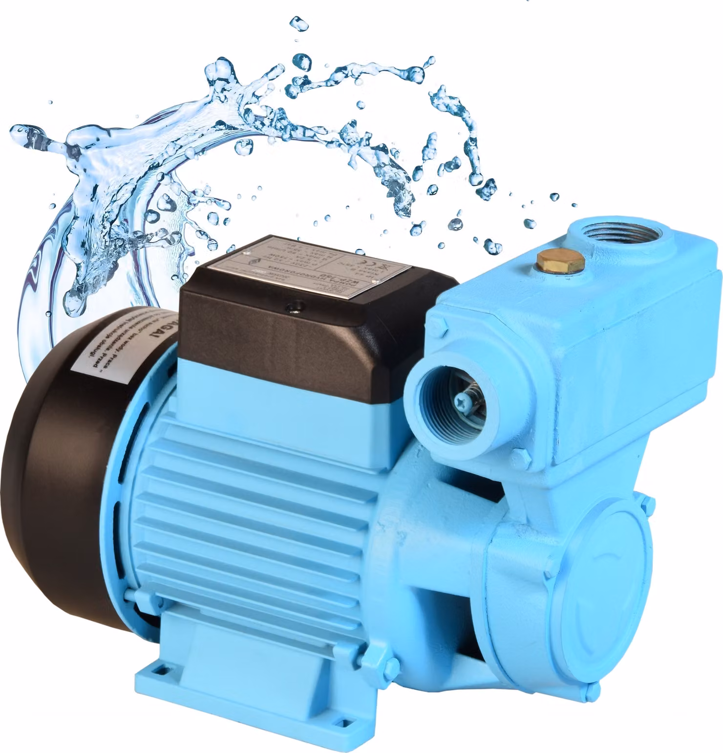 Pompa acqua idroforica WZP 750 3000L/H 750W 230V Altezza corsa 55M Pompa irrigazione giardino di superficie