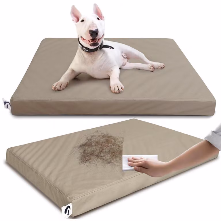 Cuccia per cani di taglia media, impermeabile, color grigio-marrone, dimensioni: 71 cm di lunghezza x 48 cm di larghezza x 7 cm di altezza