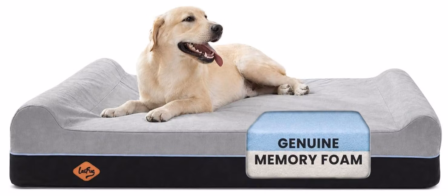 Cuccia ortopedica in memory foam, extra grande