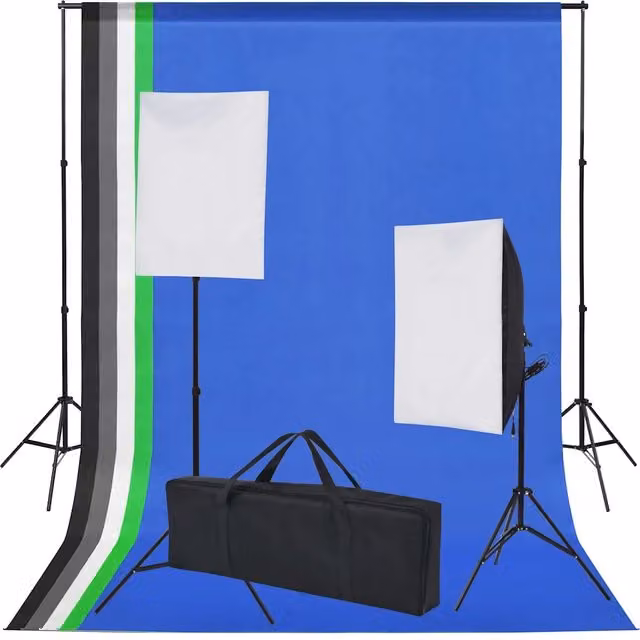 Kit Studio Fotografico vidaXL con 2 Softbox e 5 Sfondi Colorati (Nero, Verde, Bianco, Grigio, Blu)