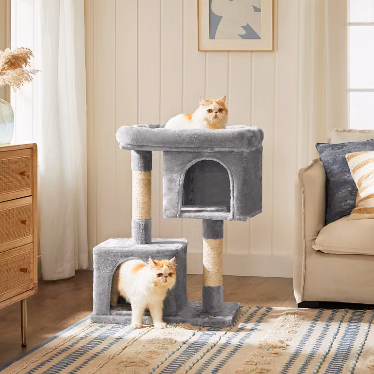 FEANDREA tiragraffi, albero per gatti L, con 2 casette, 80 cm, compatto, grigio chiaro