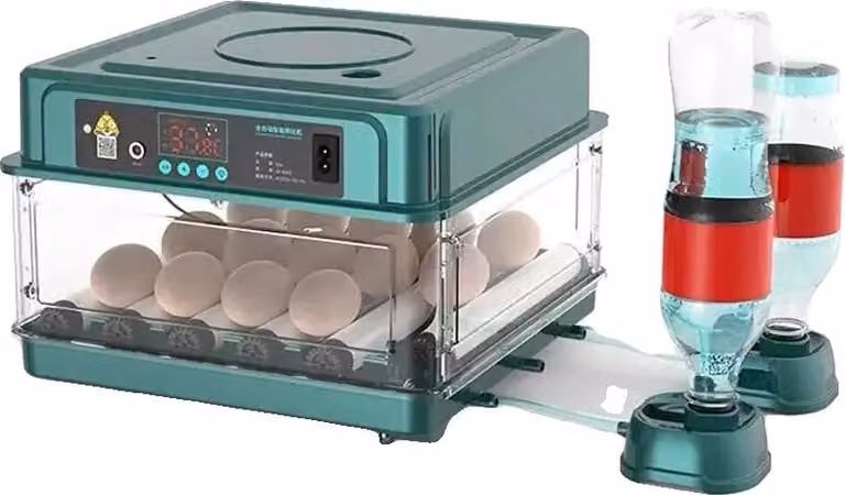 Incubatrice, controllo automatico della temperatura, gestione dell'umidità, capacità per 15 unità