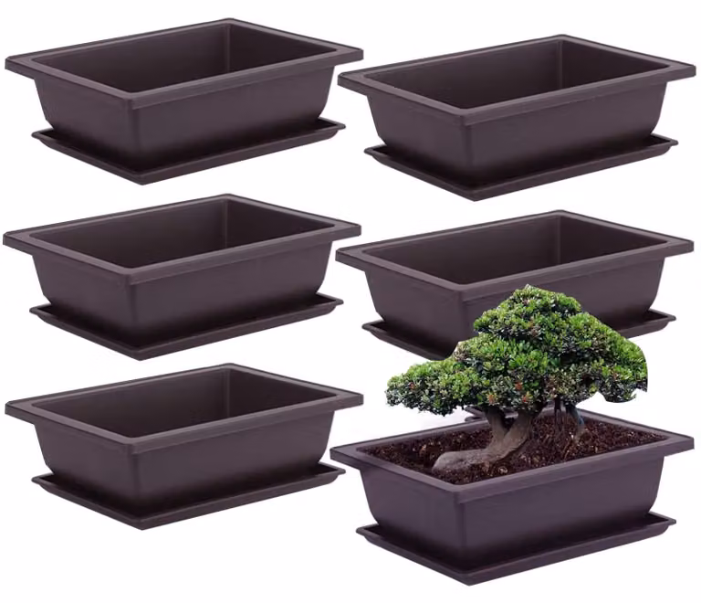 Elzusha - Set di 6 vasi da allenamento per bonsai con vassoio