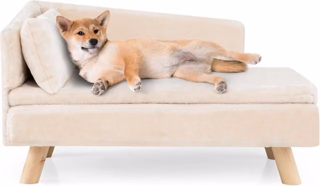 Divano letto per cani con cuscino imbottito rimovibile e morbido cuscino-Sofa per animali Gambe in legno robuste Bianco