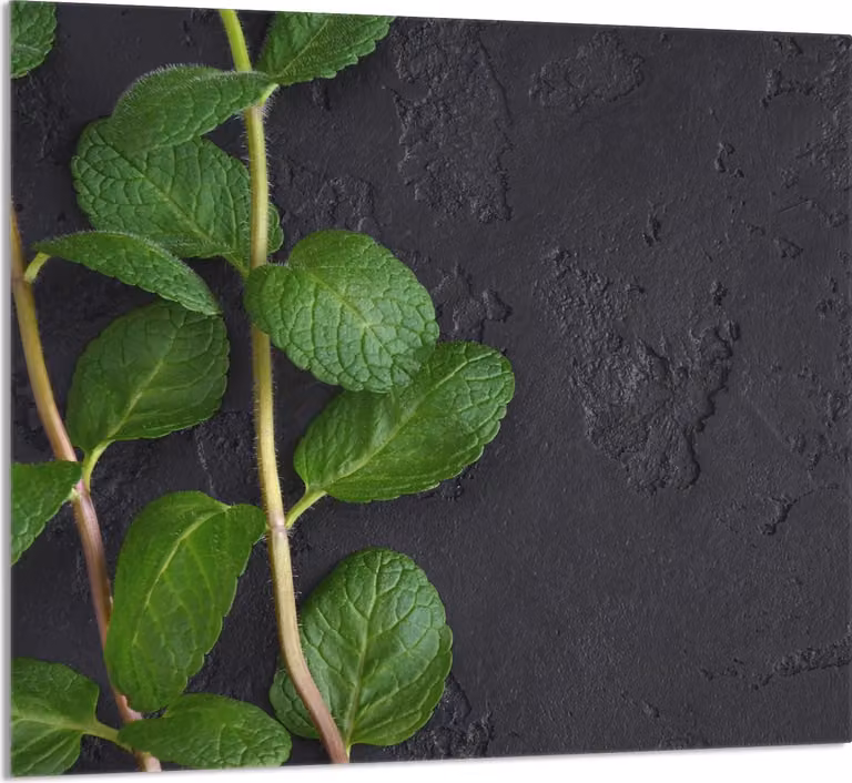 PIATTO IN VETRO PER CUCINA 65x60 Menta