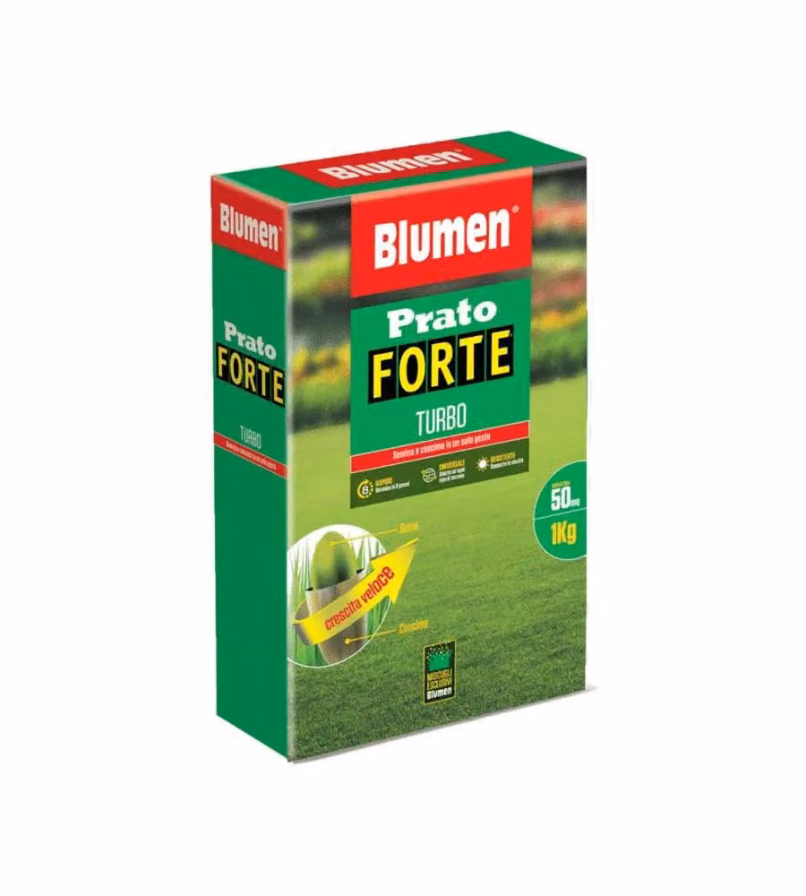 Blumen Sementi Prato Forte Turbo 1 kg - Tappeto erboso resistente e rapido