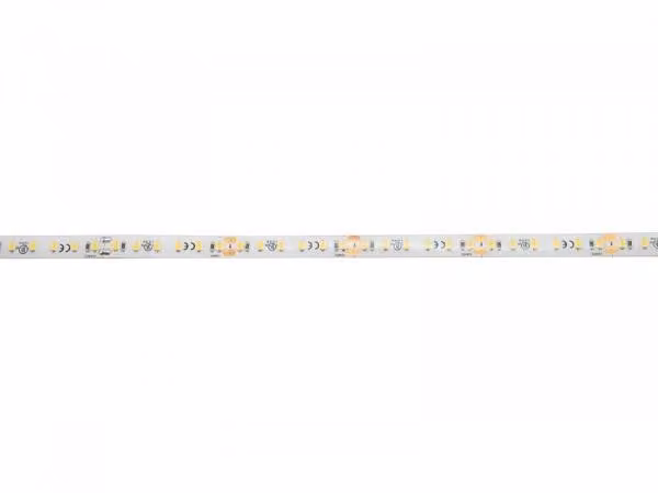 EUROLITE LED IP Strip 600 5m 2835 4000K 24V (50530110)