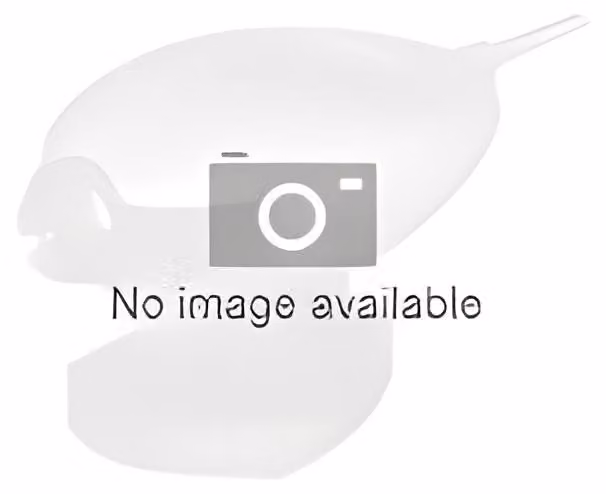 Olympia 6022 Olympia IP Camera OC 1000 Outdoor