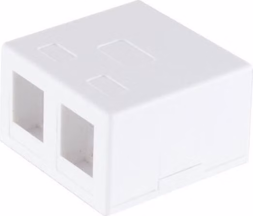 shiverpeaks ®-BASIC-S--Cassetta di connessione a chiave di violino, a 2 vie, bianca (BS08-10116)