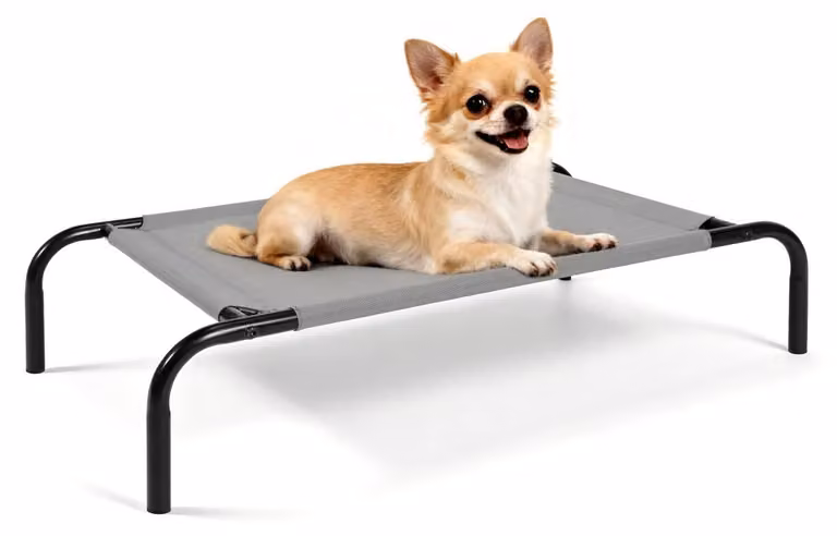Letto rialzato per cani, struttura in acciaio, rete in tessuto Teslin, dimensioni 90 x 55 x 20 cm