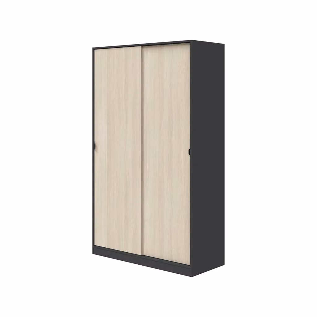 Armadio con Ante Scorrevoli DMORA per Camera da Letto, Colore Antracite, L: 120 cm, H: 200 cm – 2
