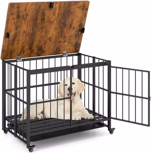 Cuccia pieghevole per cani con vassoio rimovibile e tavolino decorativo in metallo nero per razze piccole – 1