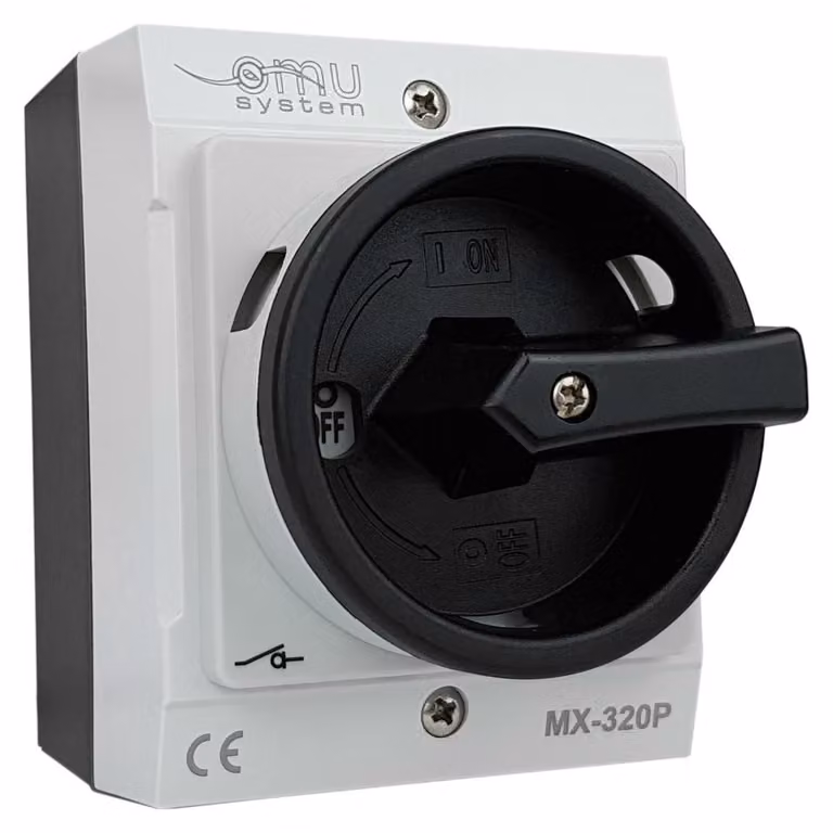 Interruttore trifase, interruttore a camme, 3 x 20 A, 4 kW, in contenitore grigio, grado di protezione IP65, modello MX-320P XBS