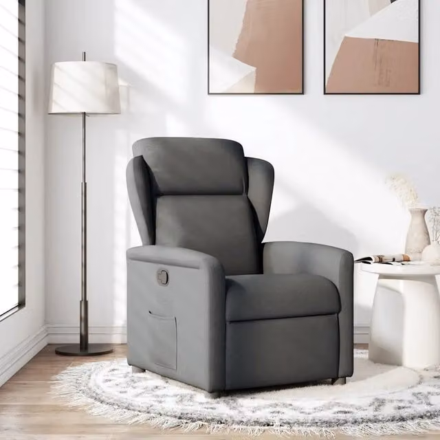 Divano Sedia-Poltrona Reclinabile in Tessuto Grigio Scuro 739194