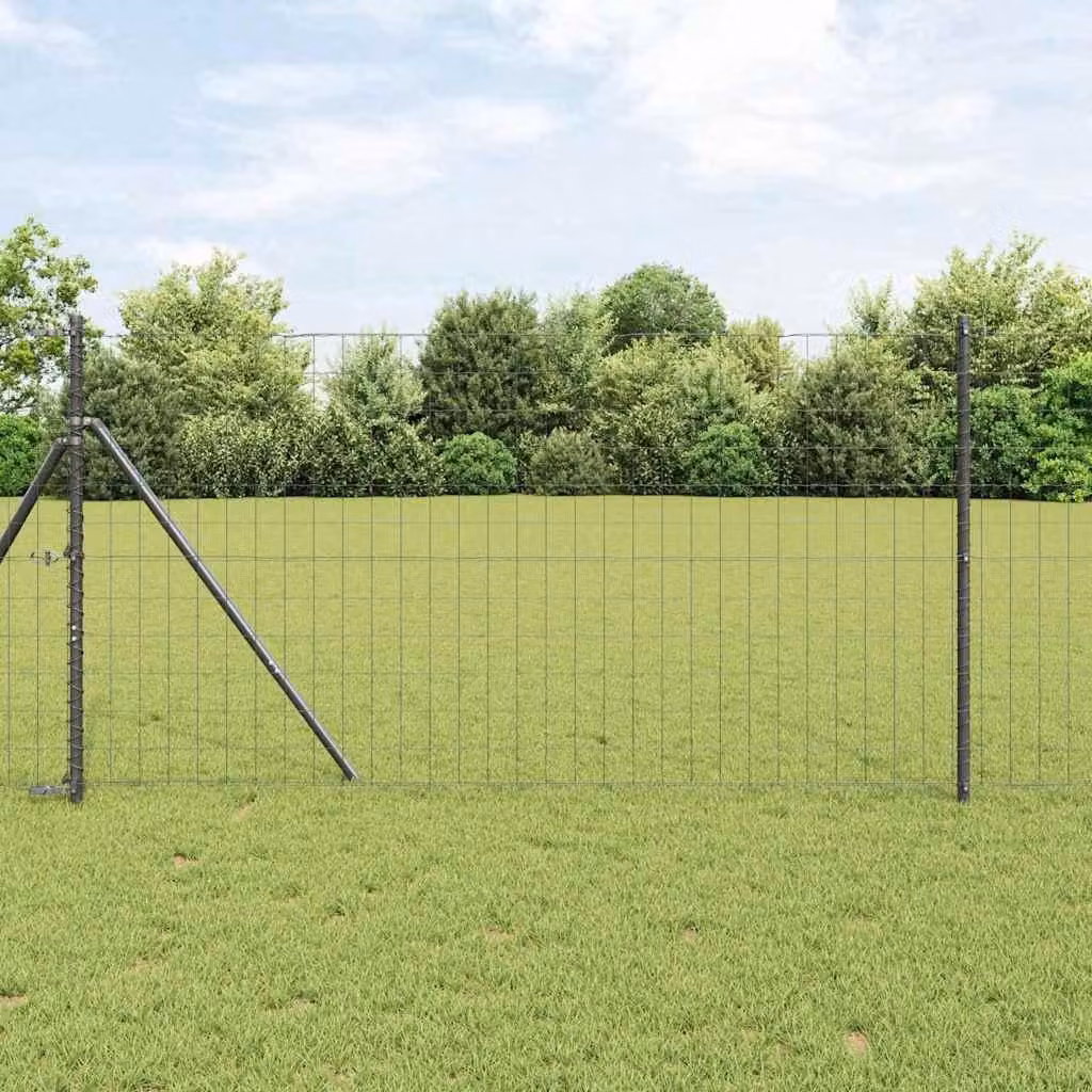 Maison Exclusive - Recinzione Eurozaun, 1 x 25 metri, ferro rivestito in PVC, colore grigio