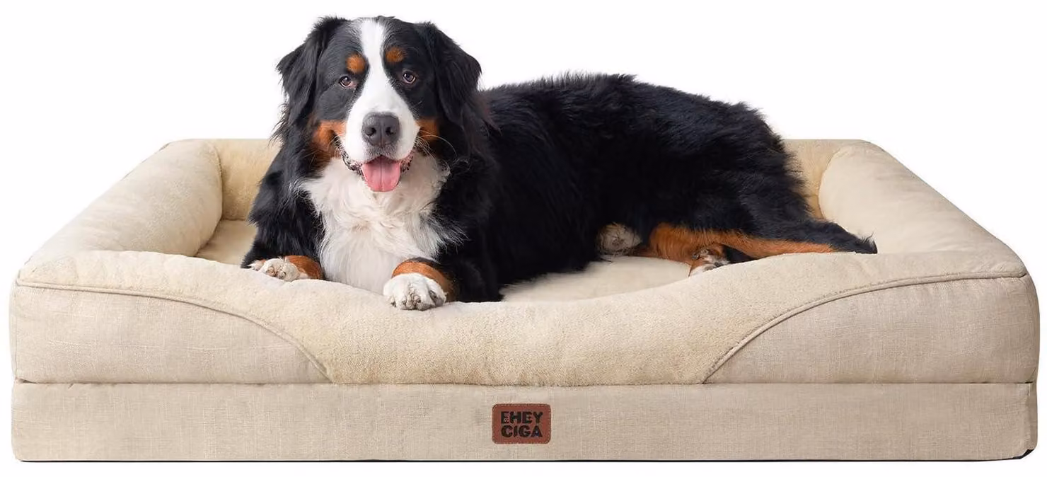 Cuccia ortopedica per cani con 4 bordi, dimensioni 132x104 cm, colore beige, realizzata in memory foam, con rivestimento lavabile