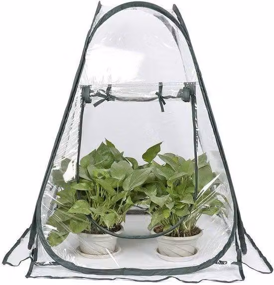 Serra pop-up piccola - tenda di svernamento per piante vaso di fiori mini serra di protezione invernale (70 x 70 x 80 cm)