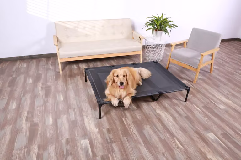 Letto rialzato per cani, grande, portatile, per uso esterno, ideale per cani di grossa taglia