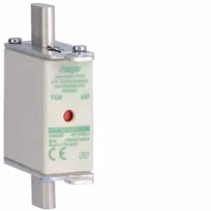 Cartuccia fusibile NH NH000 aM 690 V 16 A con segnalatore combinato e linguetta di presa in metallo