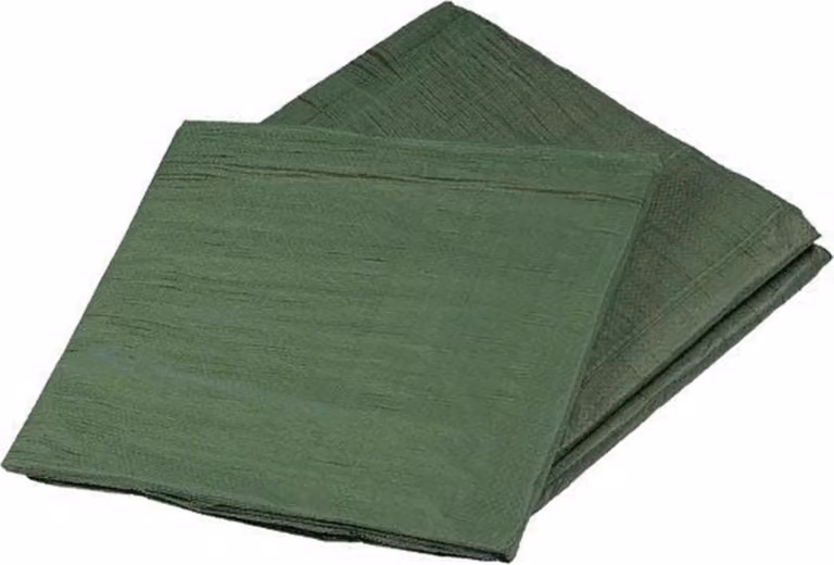 DEN BRAVEN pellicola di copertura con rete metallica verde professionale 2 × 3 m, 120 g/m2