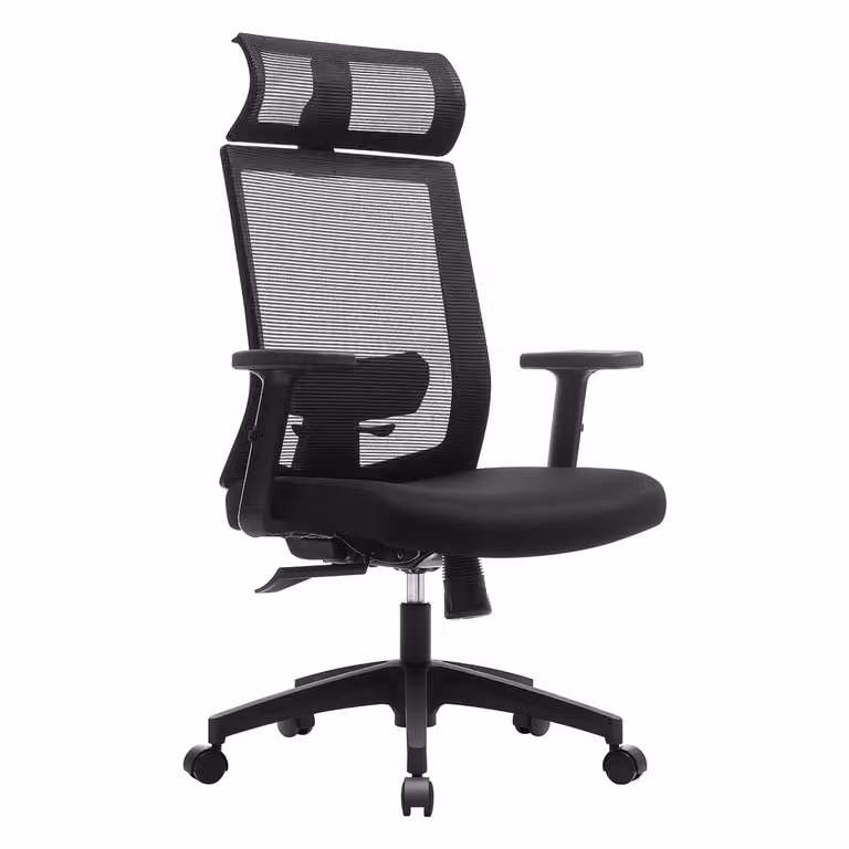 Sedia da Ufficio Ergonomica Poltrona in Rete per Computer, Nero