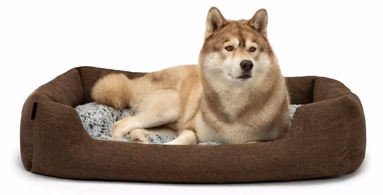 Cuccia per cani con cuscino reversibile, colore marrone melange, taglia L, dimensioni 110x80 cm