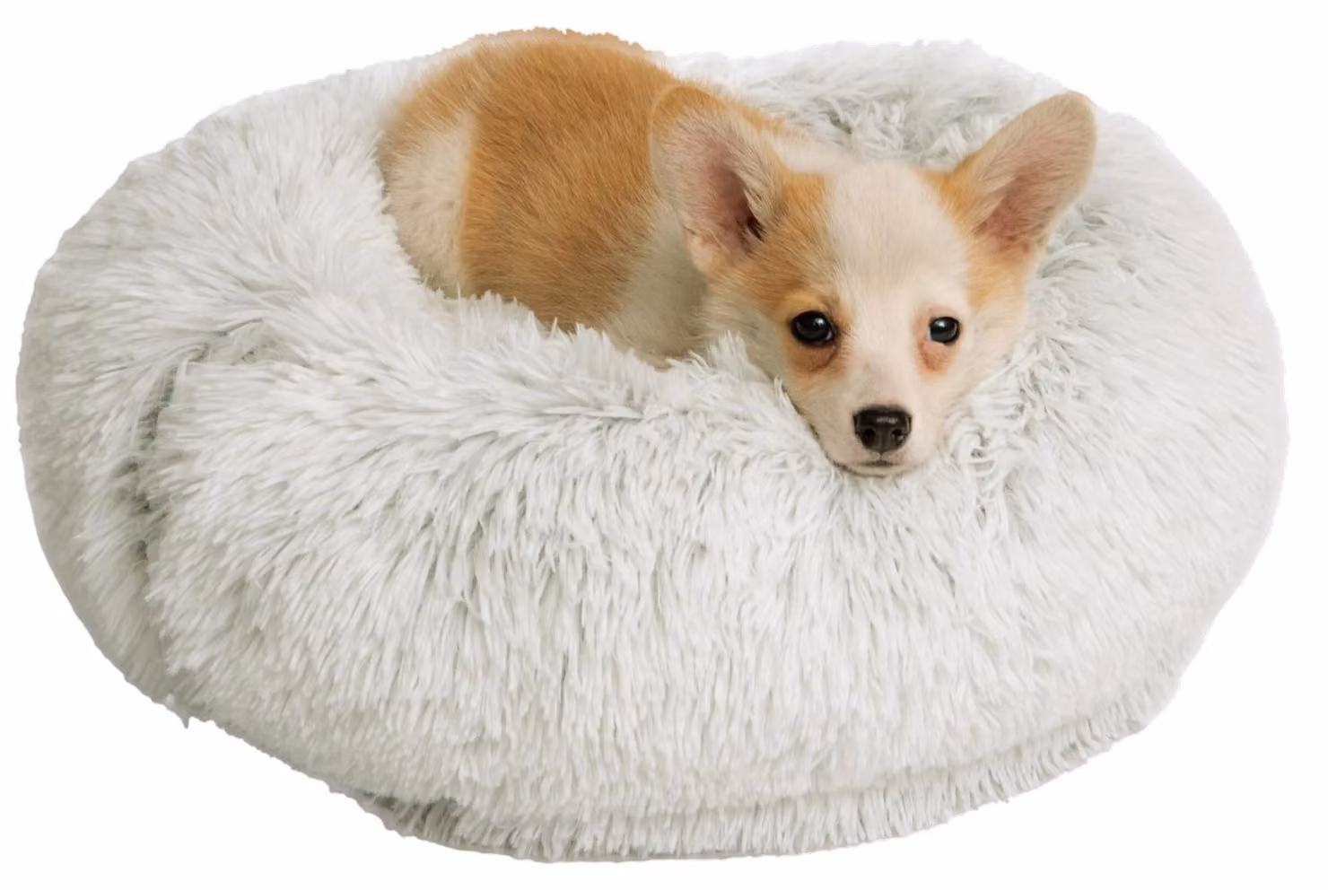 Cuccia per cani a forma di ciambella, in peluche, 50 x 50 x 17 cm, per cani
