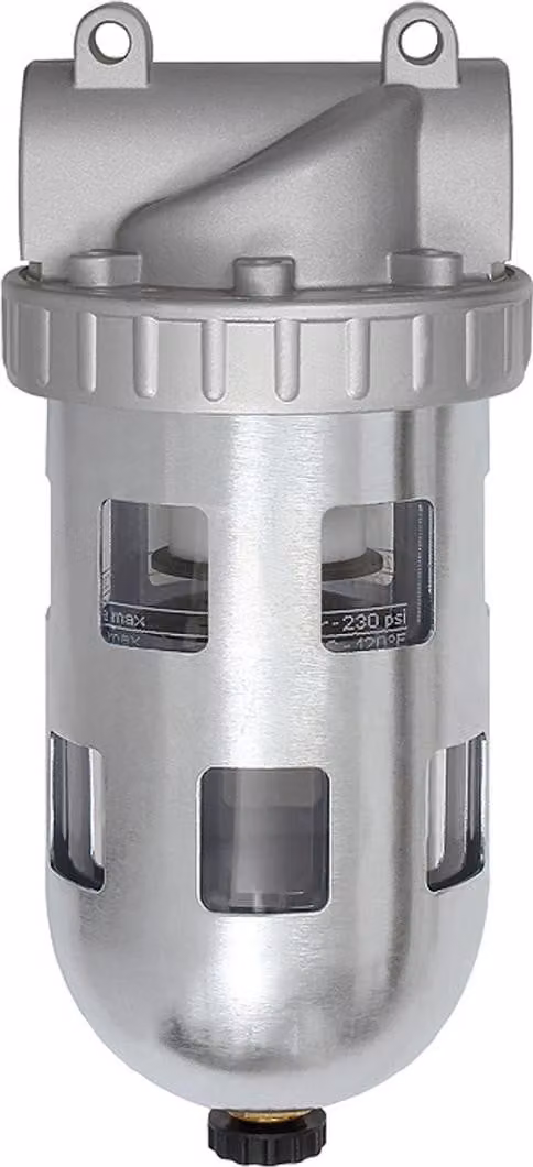 Filtro Riegler "Standard", contenitore PC, gabbia di protezione, 40 µm, BG 4, G 1 1/4