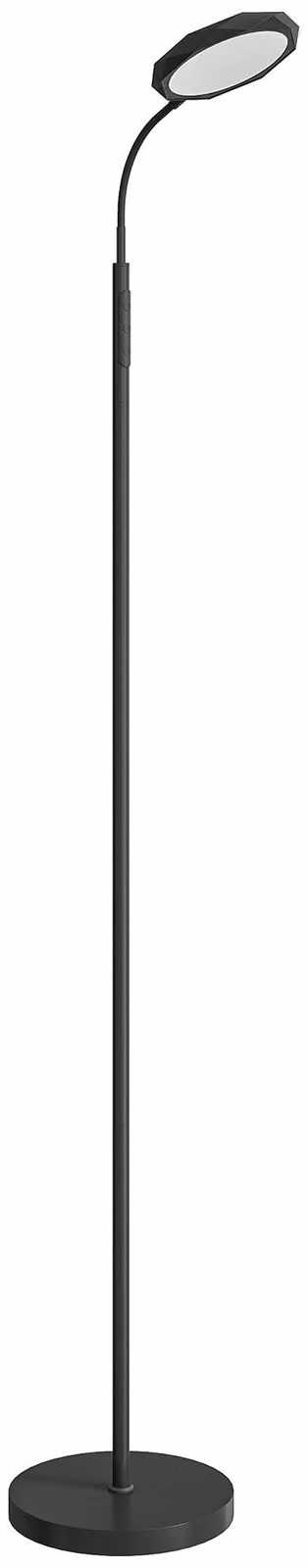 Lampada da Terra LED 22x166 cm con Telecomando Regolazione Luminosità e Temperatura in Acciaio Nero
