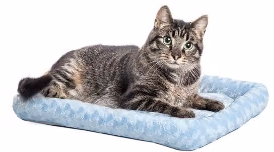 Cuccia per cani piccola 45 cm blu Comfort