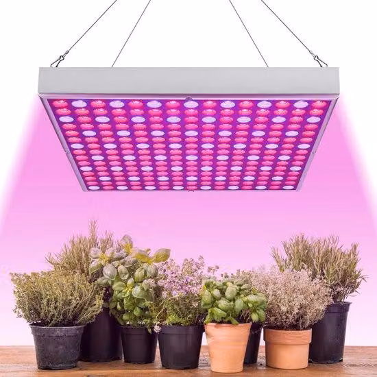 Lampada LED da 45W per la crescita delle piante, ideale per piante da interno. Lampada LED per la crescita delle piante da interno