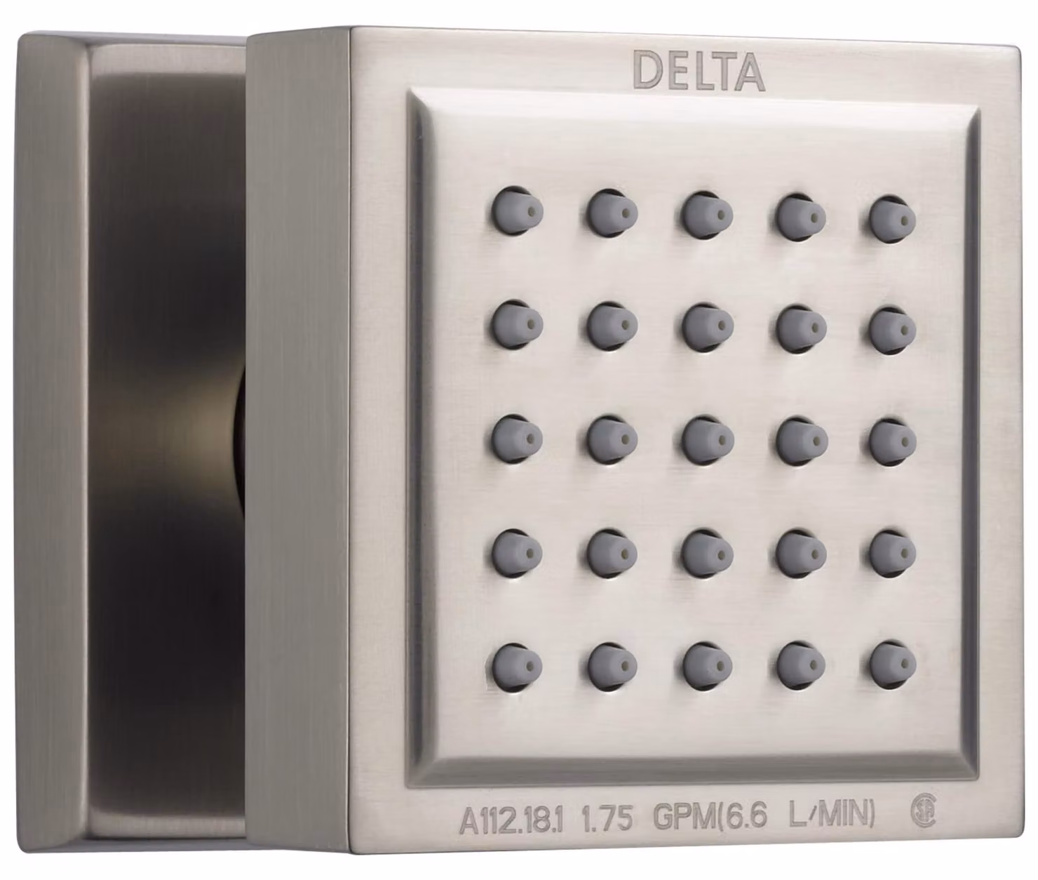 DELTA Faucet 50150-SS-PR, soffione e getto corpo, acciaio inossidabile con finitura Lumicoat