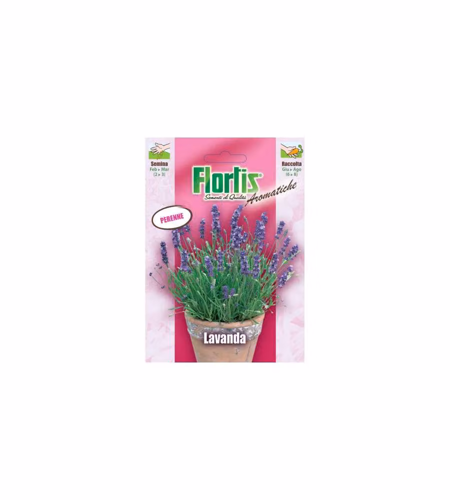 Flortis Semi di Lavanda - Busta Pronta per Semina - Fiori Aromatici
