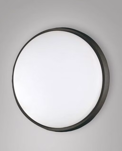 Olly Fabas Plafoniera LED Moderna Rotonda in Alluminio e Policarbonato Nero 30W 3220lm 3000K IP54 3315-65-101 – 1