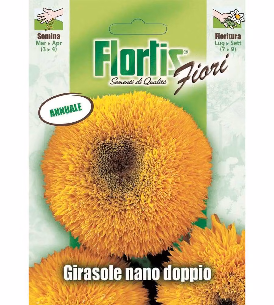 Girasole Nano Sungold Giallo-Oro - Fiori Doppi - 70-80 cm di Altezza