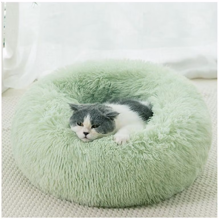 Cuccia per cani a forma di ciambella, antistress, lavabile, in peluche, verde, dimensioni 60x60x20 cm