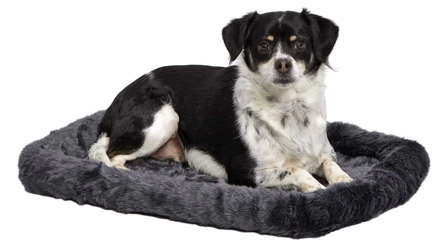 Omgoods - Cuscino grigio per cani, adatto per cucce per cani